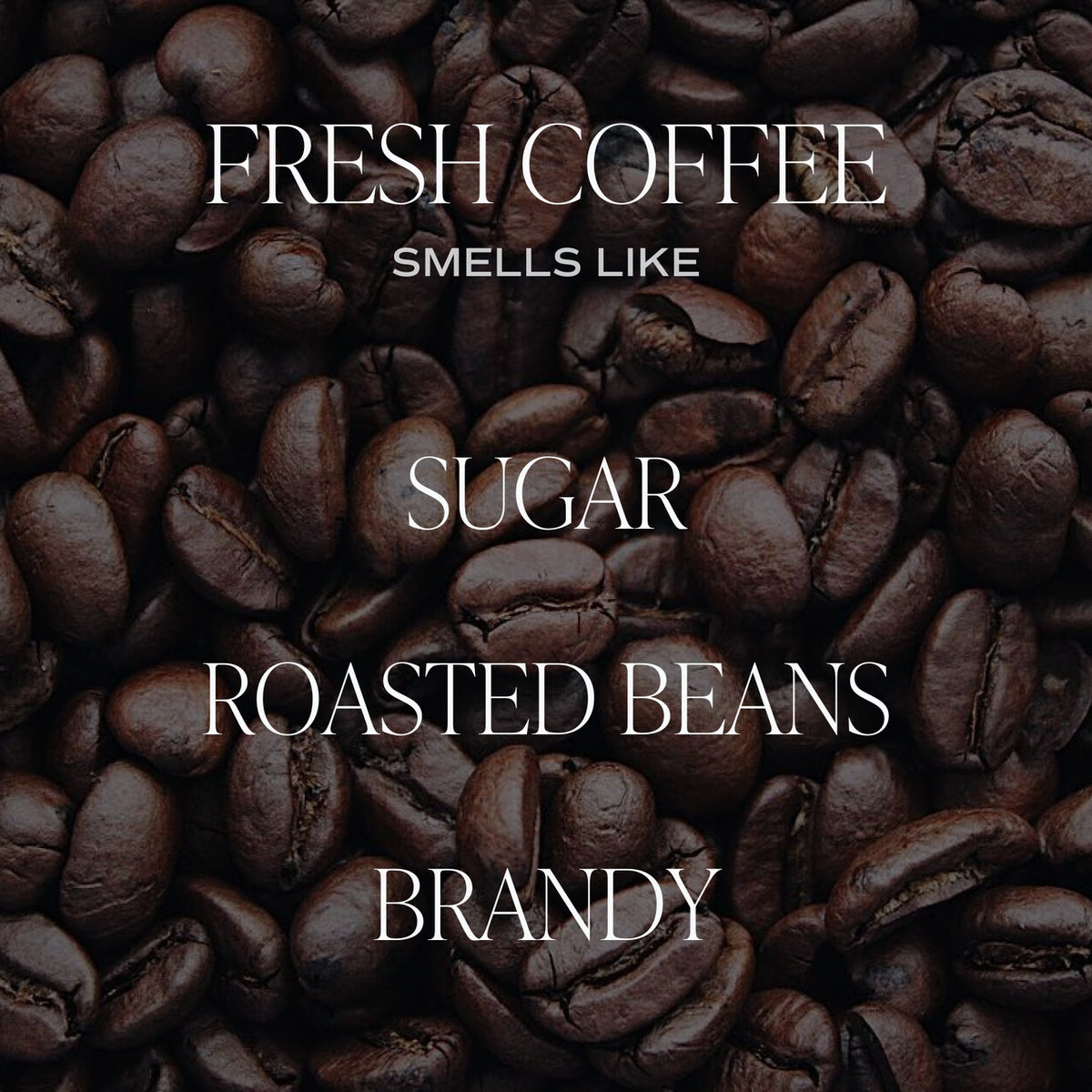 Fresh Coffee - Soy Candle
