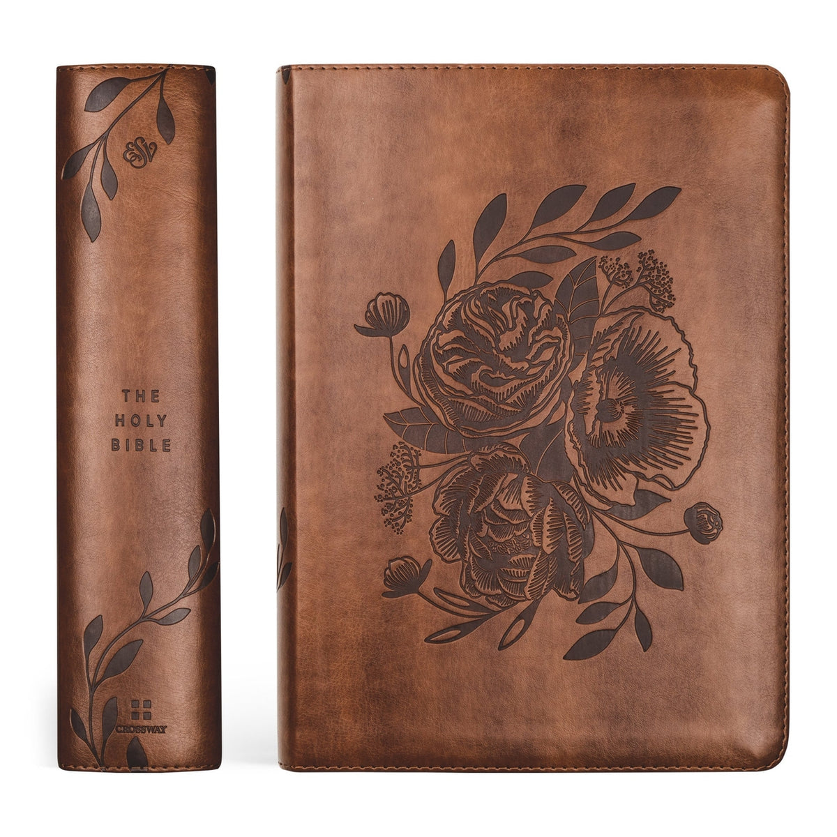 Study Bible - Aurora