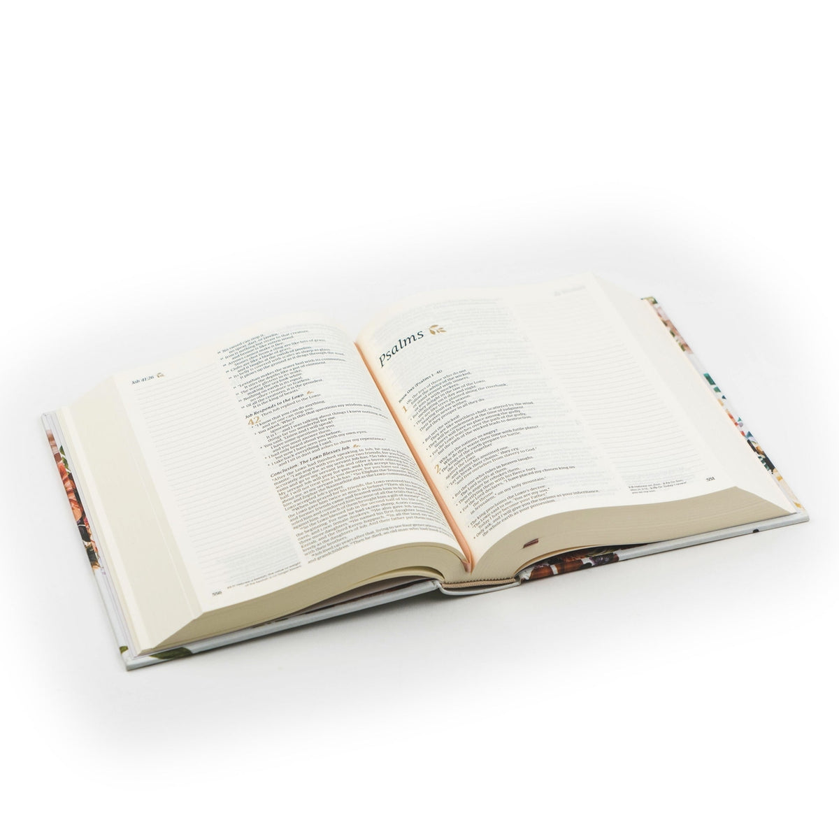 Notetaking Bible - Madrid