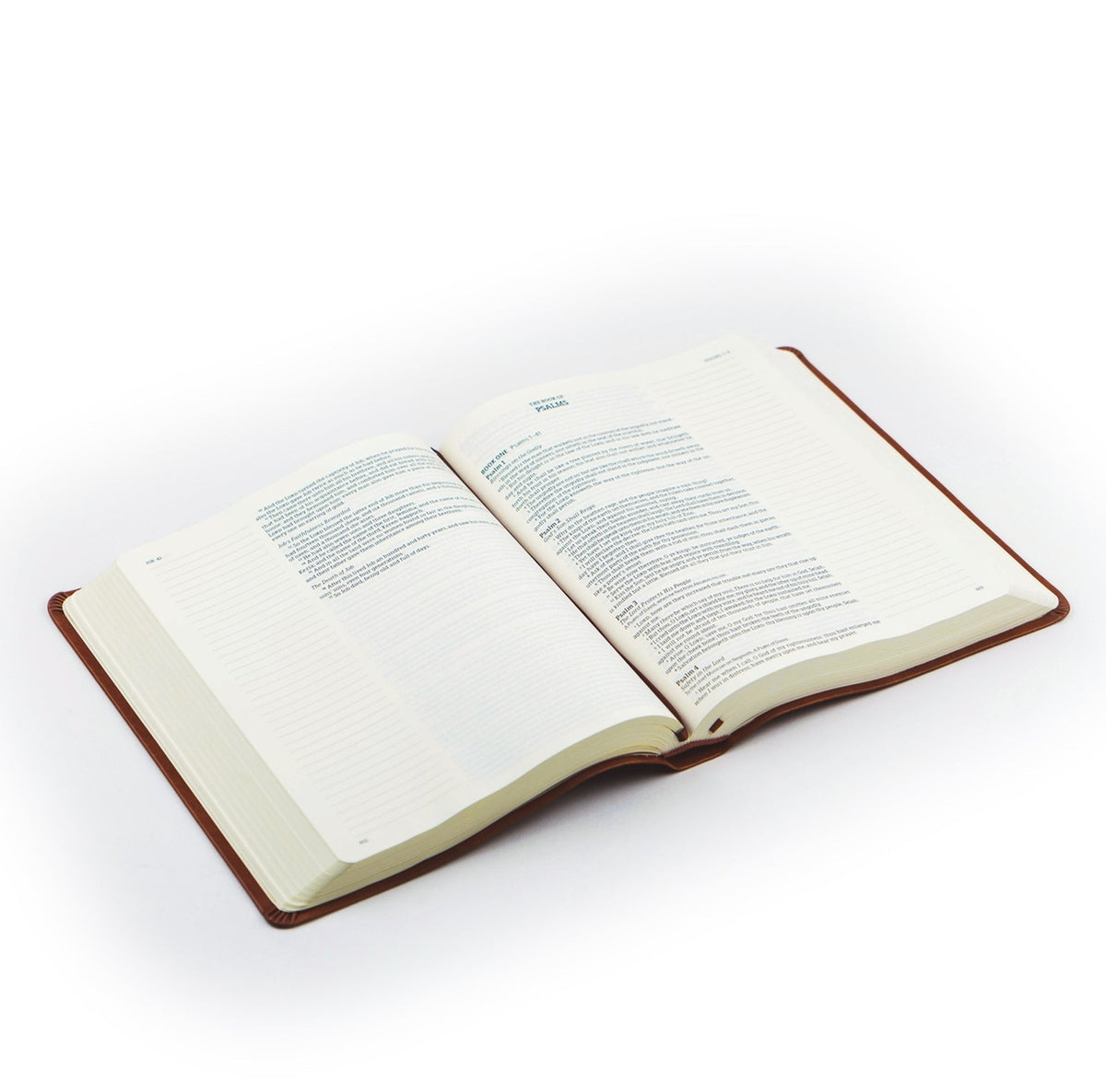 LP Notetaking Bible - Vienna