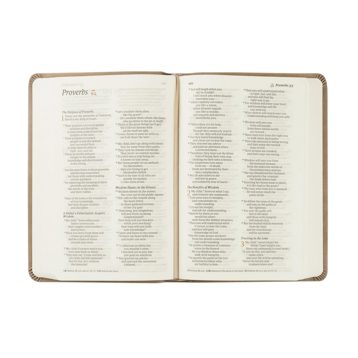 Compact Bible - Marlo