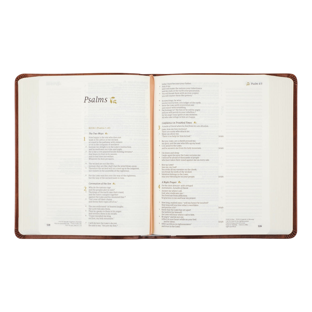Notetaking Bible - Vienna