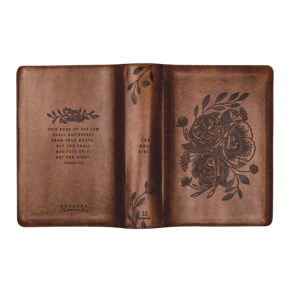 Study Bible - Aurora