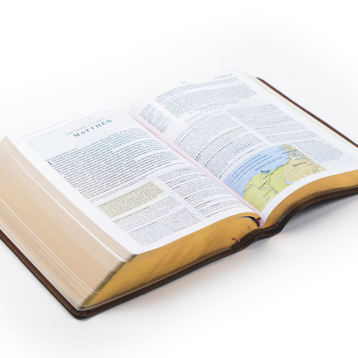 Study Bible - Aurora