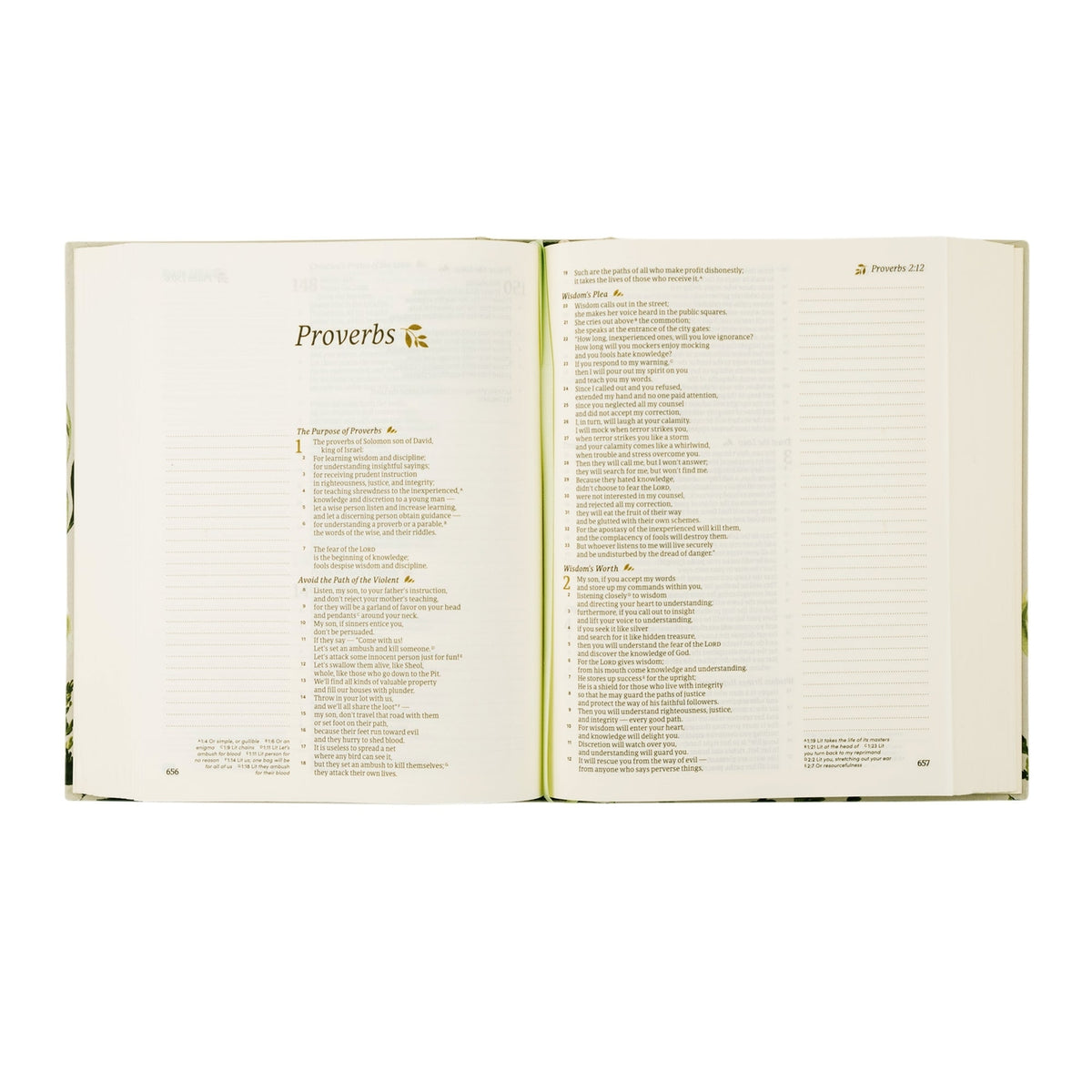 Notetaking Bible - Dorset