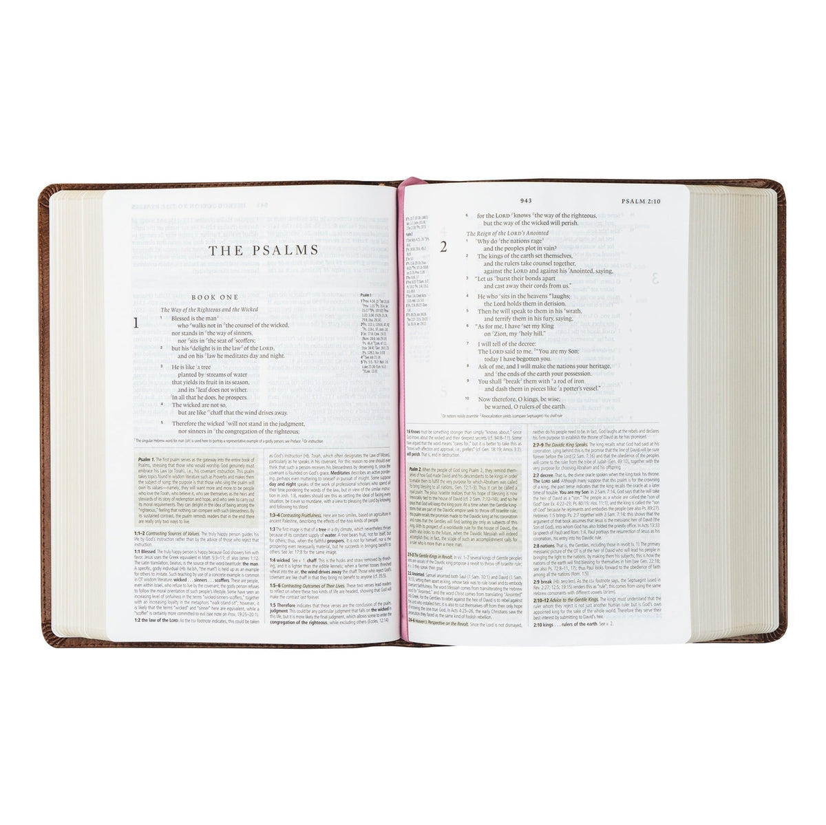 Study Bible - Aurora