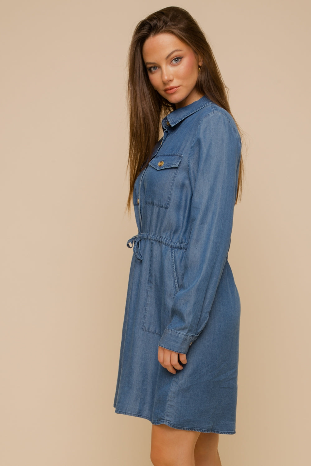 Easy Street Button Up Dress